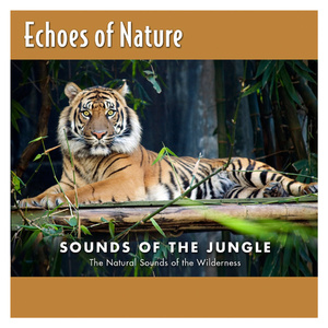 双女主炒菜真人
